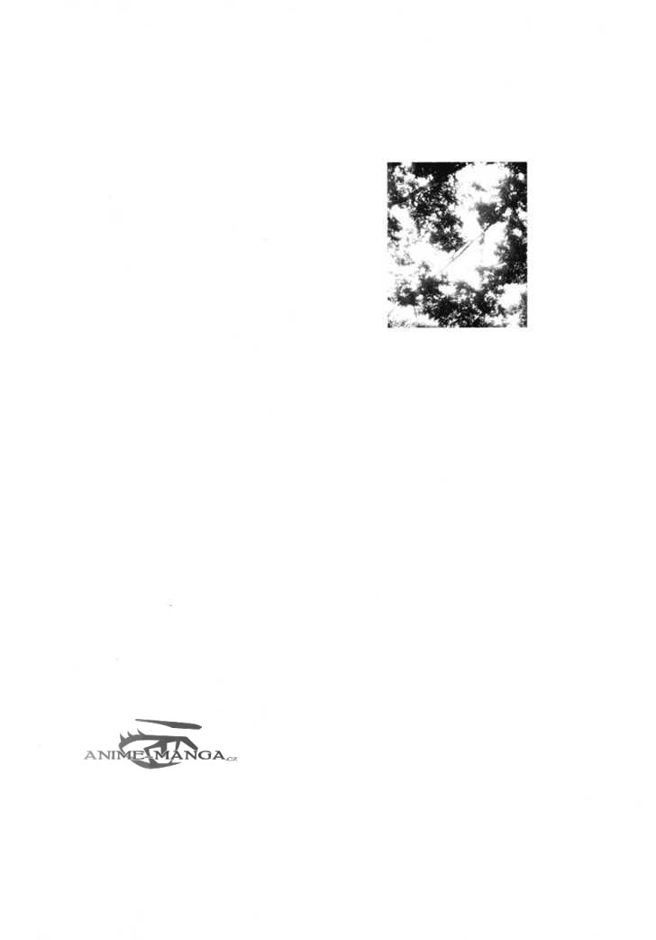 holograph_272 kopie.jpg